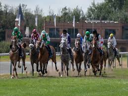 AL RIFFAA WINS BY A WHISKER