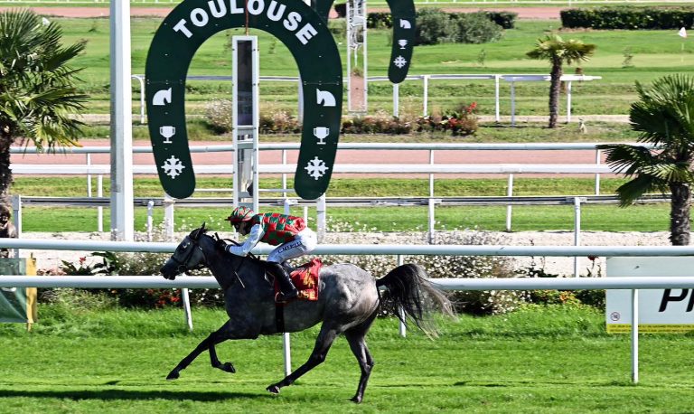 TALA’A (FR) WINS THE PRIX NEDJARI – WATHBA STALLIONS CUP